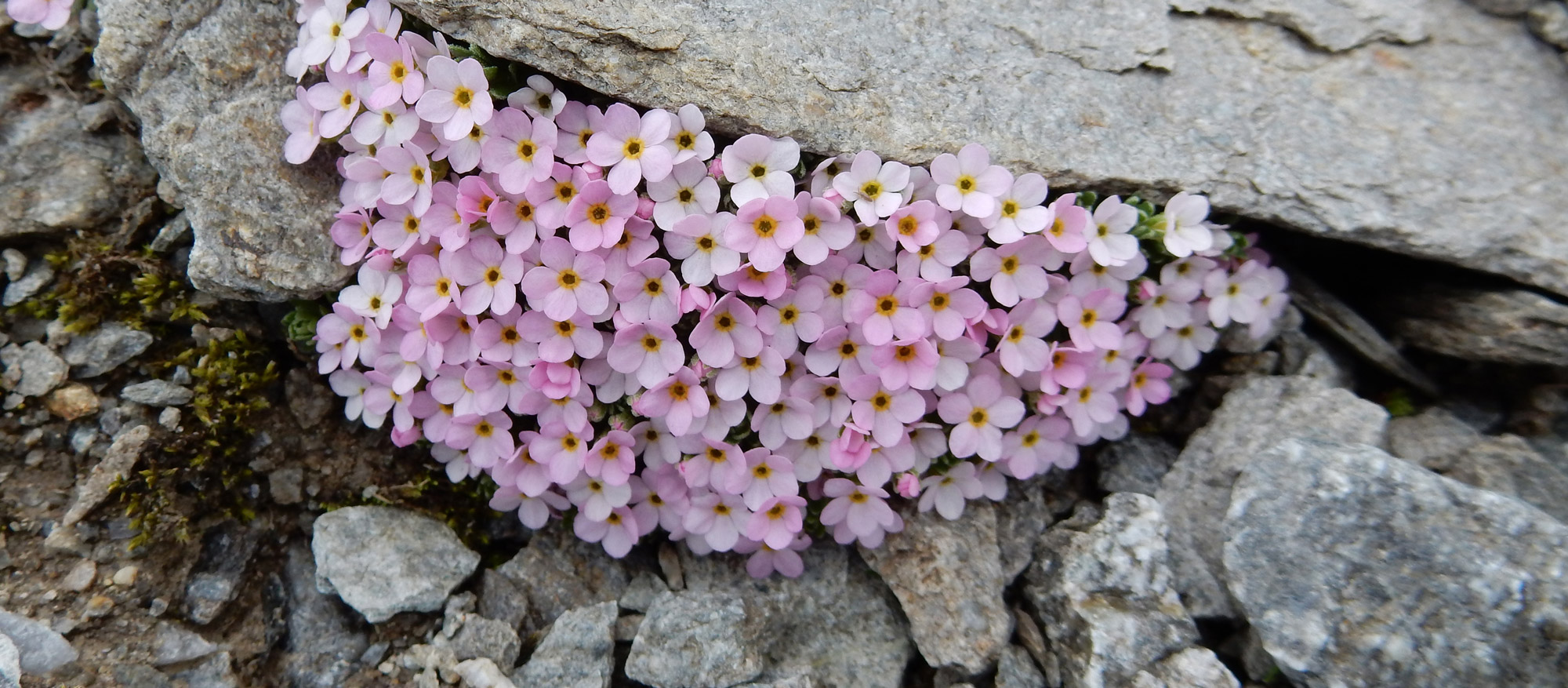 itenbewaesserung_titel2