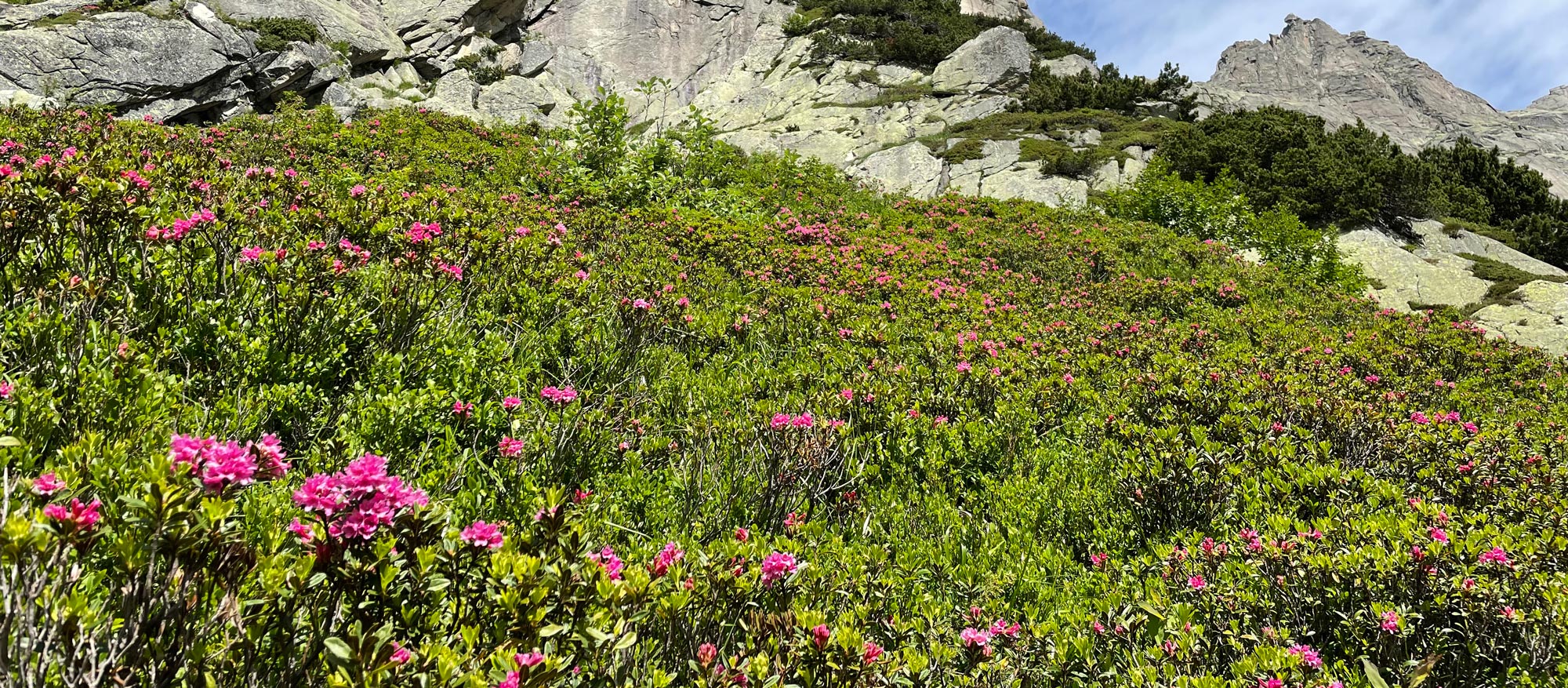 itenbewaesserung_titel3