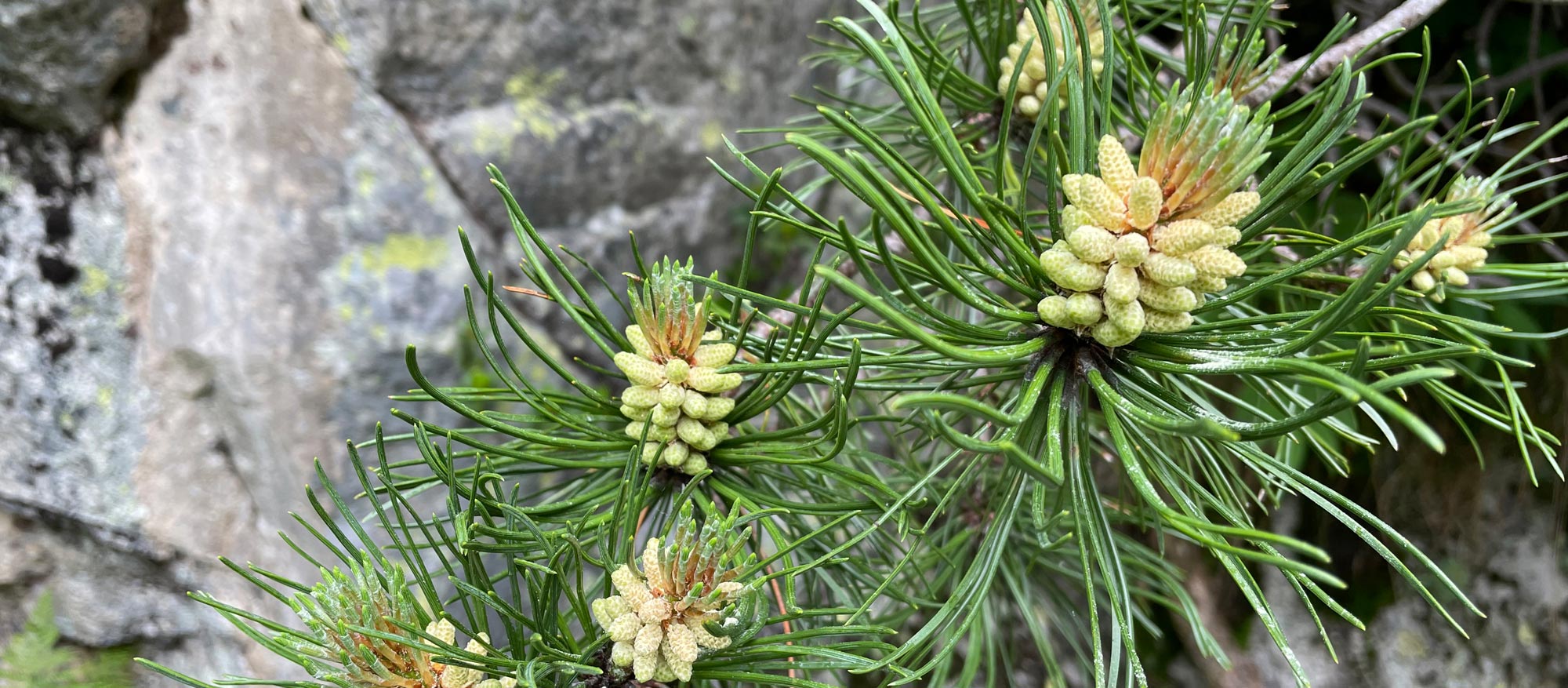 itenbewaesserung_titel4