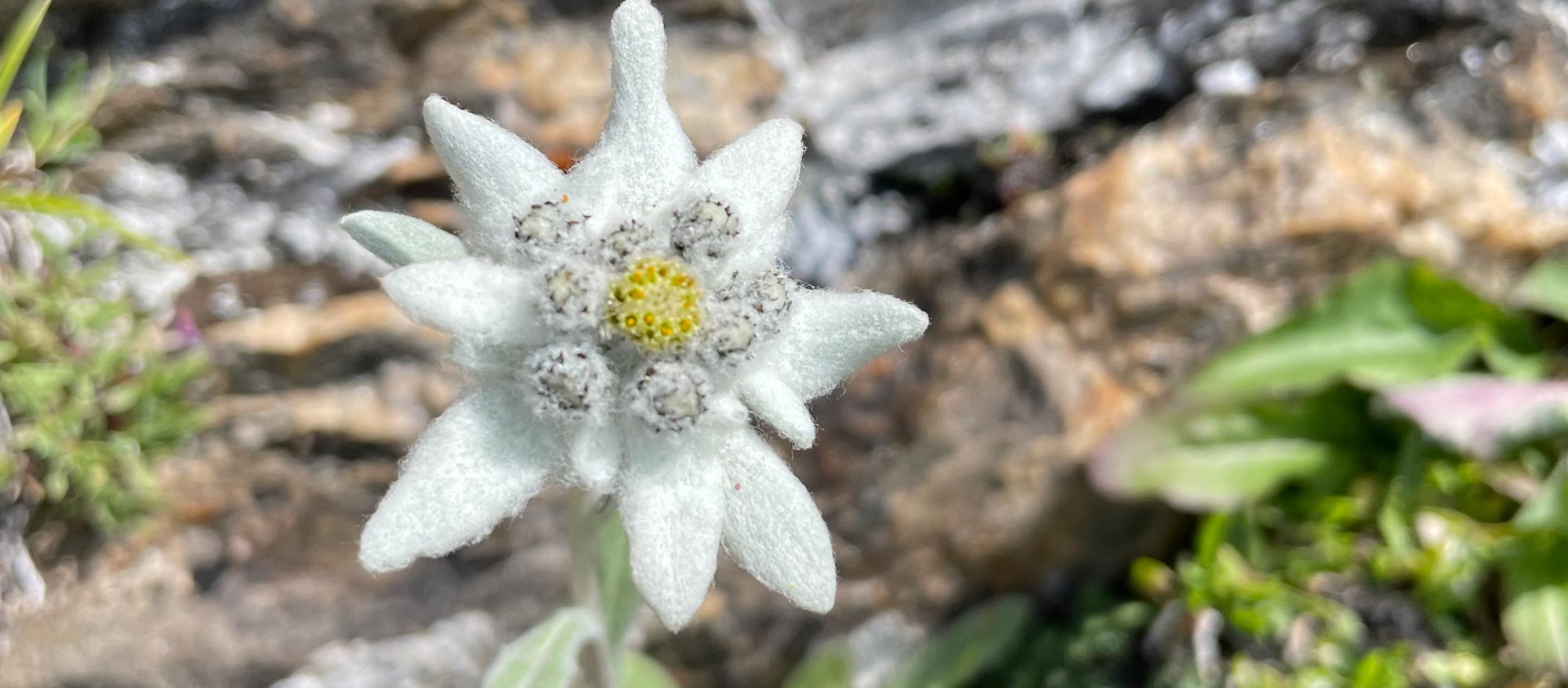 itenbewaesserung_titel5